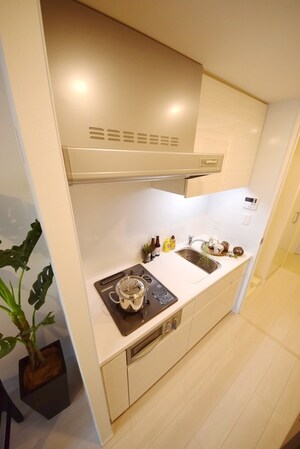 パークアクシス錦糸町ヴェールの物件内観写真